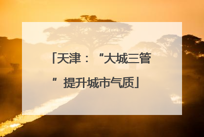 天津：“大城三管”提升城市气质