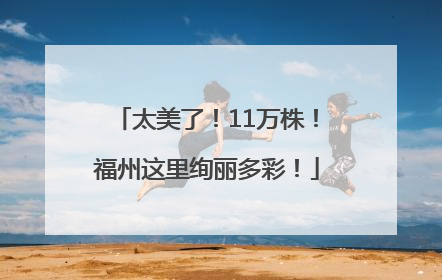太美了！11万株！福州这里绚丽多彩！