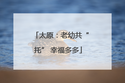 太原：老幼共“托” 幸福多多