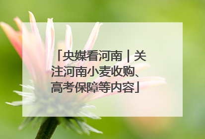 央媒看河南｜关注河南小麦收购、高考保障等内容