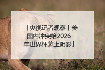 央视记者观察丨美国内冲突给2026年世界杯蒙上阴影