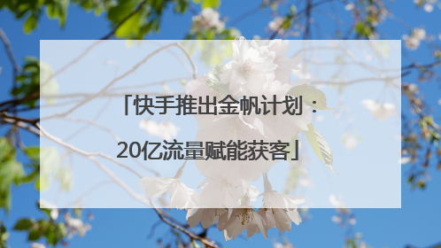 快手推出金帆计划：20亿流量赋能获客