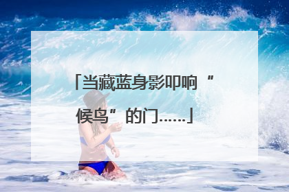 当藏蓝身影叩响“候鸟”的门……