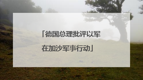 德国总理批评以军在加沙军事行动