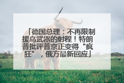 德国总理：不再限制援乌武器的射程！特朗普批评普京正变得“疯狂”，俄方最新回应