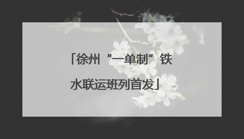 徐州“一单制”铁水联运班列首发