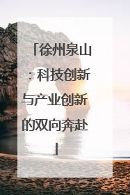 徐州泉山：科技创新与产业创新的双向奔赴