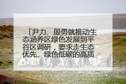 尹力、殷勇就推动生态涵养区绿色发展到平谷区调研，要求走生态优先、绿色低碳的高质量发展之路