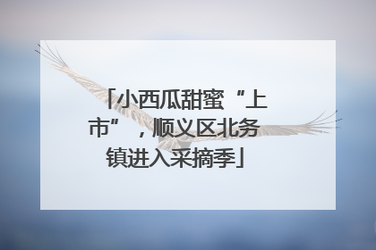 小西瓜甜蜜“上市”，顺义区北务镇进入采摘季
