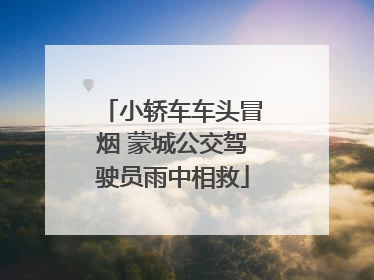 小轿车车头冒烟 蒙城公交驾驶员雨中相救
