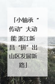 小轴承“传动”大动能 浙江新昌“拼”出山区发展新路
