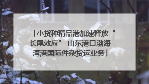 小货种精品港加速释放“长尾效应” 山东港口渤海湾港国际件杂货运业务