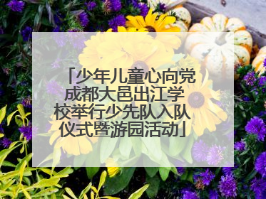 少年儿童心向党 成都大邑出江学校举行少先队入队仪式暨游园活动