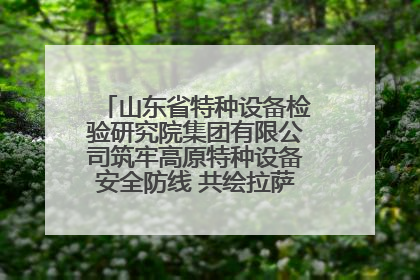 山东省特种设备检验研究院集团有限公司筑牢高原特种设备安全防线 共绘拉萨美好生活画卷