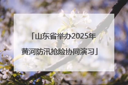 山东省举办2025年黄河防汛抢险协同演习