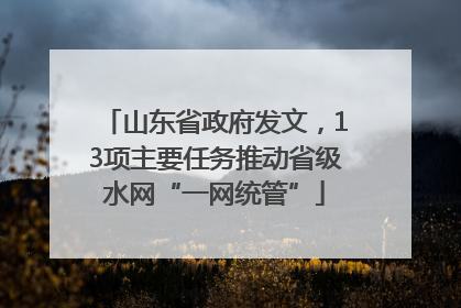 山东省政府发文，13项主要任务推动省级水网“一网统管”