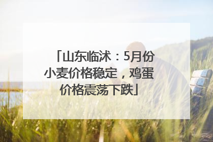 山东临沭：5月份小麦价格稳定，鸡蛋价格震荡下跌
