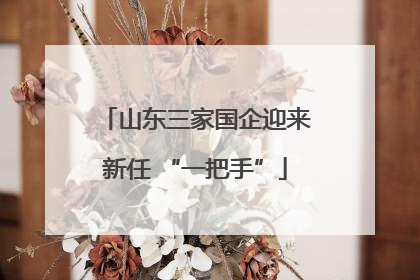 山东三家国企迎来新任 “一把手”