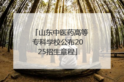 山东中医药高等专科学校公布2025招生章程
