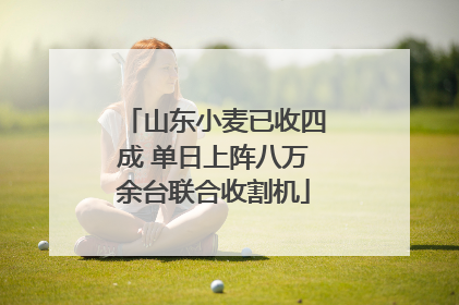 山东小麦已收四成 单日上阵八万余台联合收割机