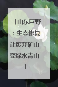 山东巨野：生态修复让废弃矿山变绿水青山