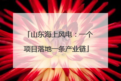 山东海上风电：一个项目落地一条产业链