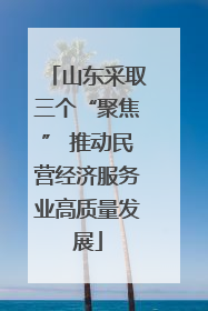 山东采取三个“聚焦” 推动民营经济服务业高质量发展