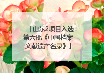山东2项目入选第六批《中国档案文献遗产名录》