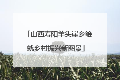 山西寿阳羊头崖乡绘就乡村振兴新图景