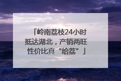 岭南荔枝24小时抵达湖北，产销两旺性价比真“给荔”
