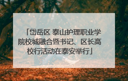 岱岳区 泰山护理职业学院校城融合暨书记、区长高校行活动在泰安举行