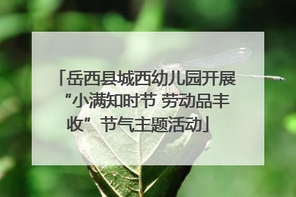 岳西县城西幼儿园开展“小满知时节 劳动品丰收”节气主题活动