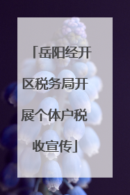岳阳经开区税务局开展个体户税收宣传