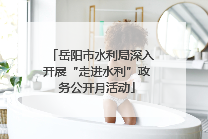 岳阳市水利局深入开展“走进水利”政务公开月活动