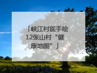 峡江村医手绘12张山村“健康地图”