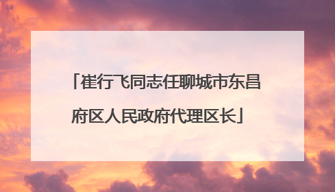 崔行飞同志任聊城市东昌府区人民政府代理区长