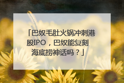 巴奴毛肚火锅冲刺港股IPO，巴奴能复刻海底捞神话吗？