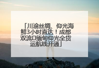 川渝丝绸、仰光海鲜3小时直达！成都双流⇌缅甸仰光全货运航线开通
