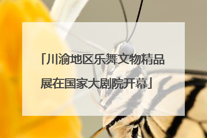 川渝地区乐舞文物精品展在国家大剧院开幕
