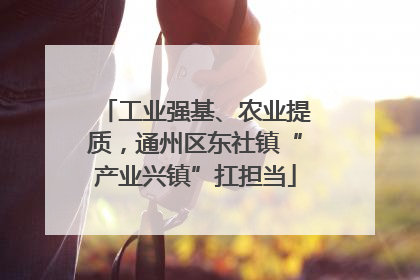 工业强基、农业提质，通州区东社镇“产业兴镇”扛担当