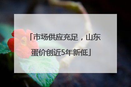 市场供应充足，山东蛋价创近5年新低