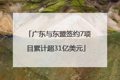 广东与东盟签约7项目累计超31亿美元