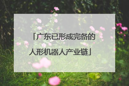 广东已形成完备的人形机器人产业链