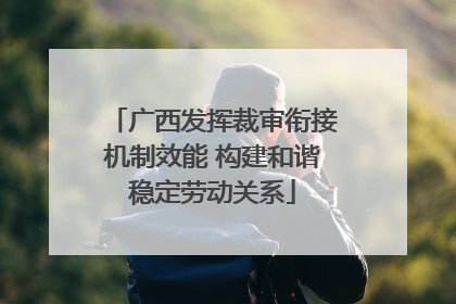 广西发挥裁审衔接机制效能 构建和谐稳定劳动关系