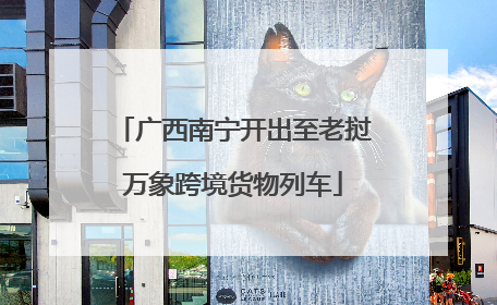 广西南宁开出至老挝万象跨境货物列车