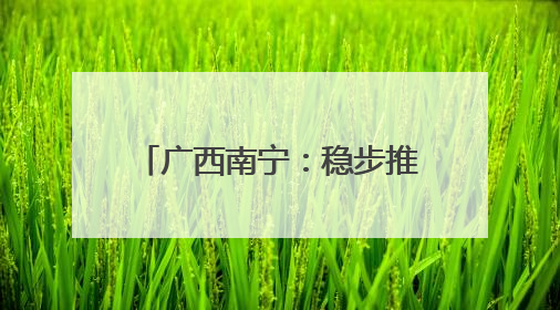 广西南宁：稳步推进城中村改造项目