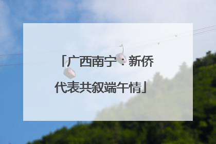 广西南宁：新侨代表共叙端午情