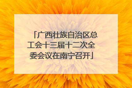 广西壮族自治区总工会十三届十二次全委会议在南宁召开
