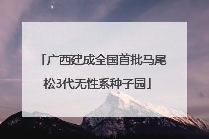 广西建成全国首批马尾松3代无性系种子园