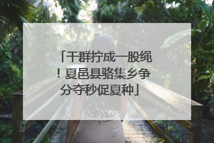 干群拧成一股绳！夏邑县骆集乡争分夺秒促夏种